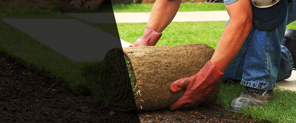 Delta Landscapers